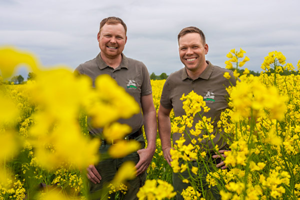 Die zwei Landwirte von den Isebauern stehen in ihrem Rapsfeld.